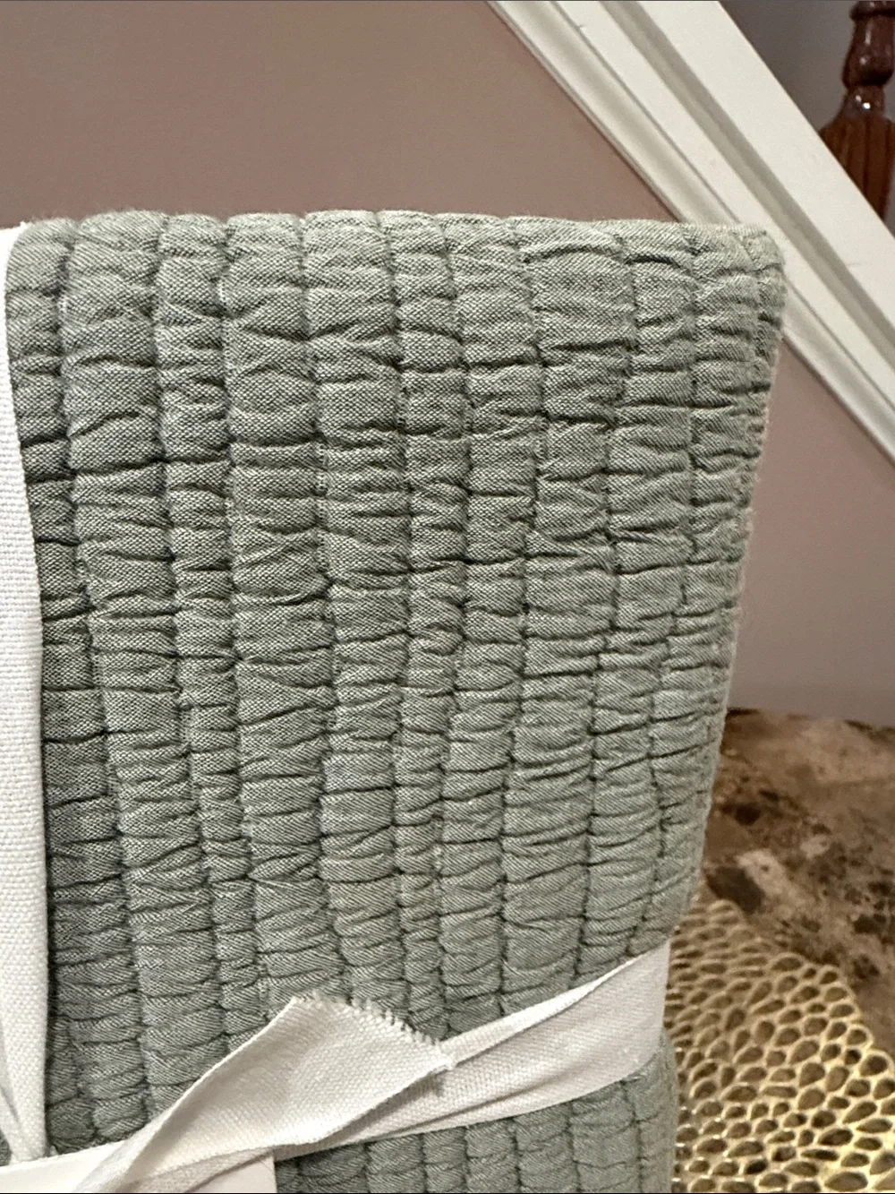 Pottery Barn Coastal Washed Euro Sham - Eucalyptus